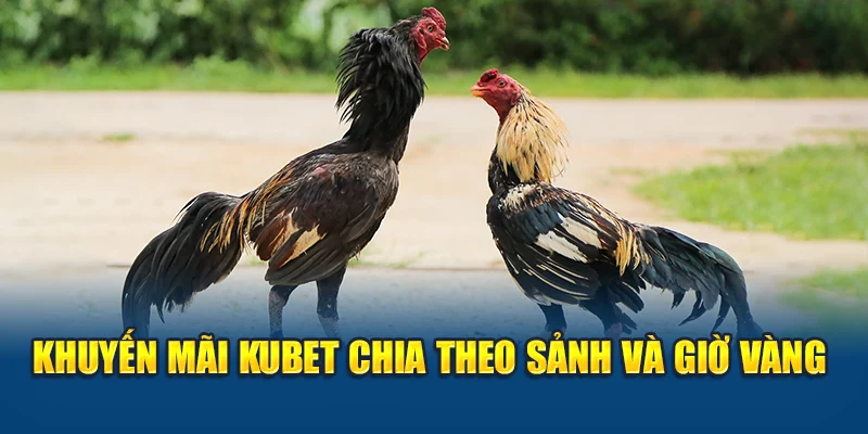 Khuyến Mãi Đá Gà Kubet – Ưu Đãi Đậm Tay, Nạp Ít Nhận Nhiều 1 Khuyến mãi Kubet chia theo sảnh và giờ vàng